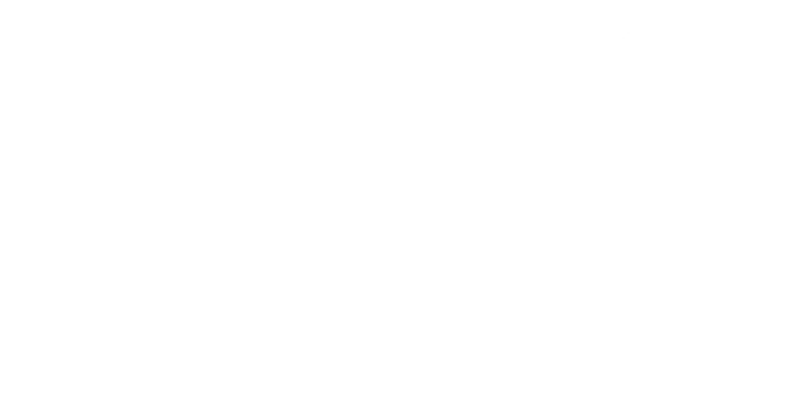 Enchanted Winter Garden
